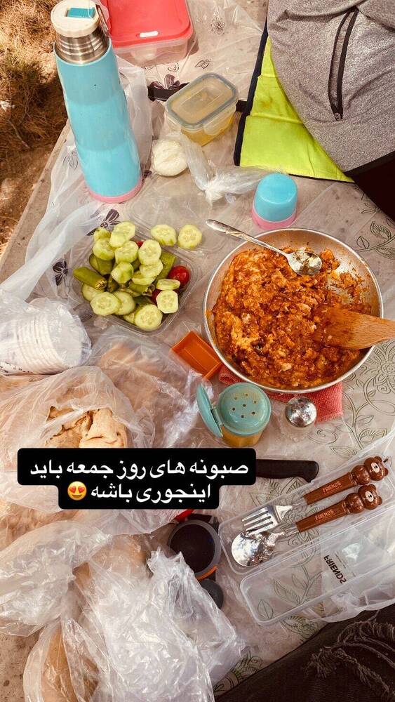  جدید ترین استوری اینستاگرام فاطمه فاطمی