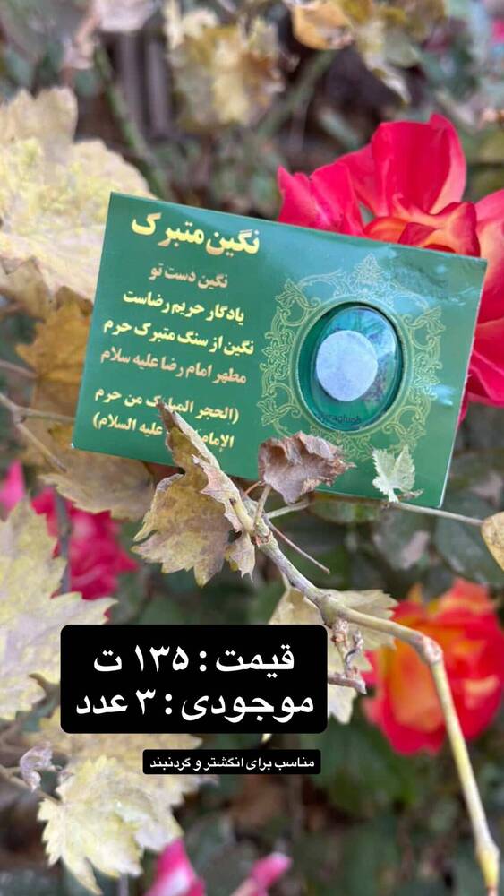  جدید ترین استوری اینستاگرام فاطمه فاطمی