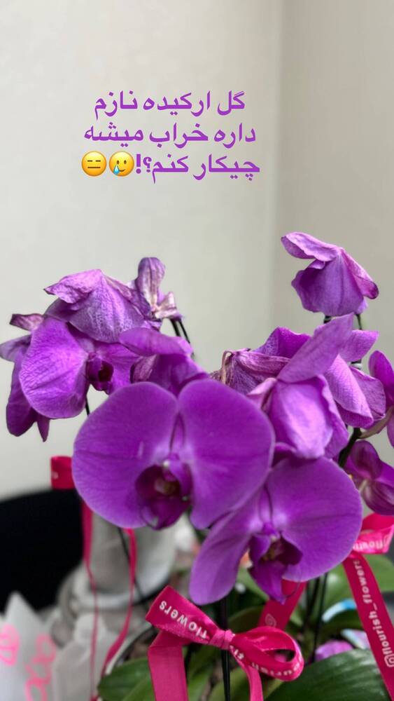  جدید ترین استوری اینستاگرام فاطمه فاطمی