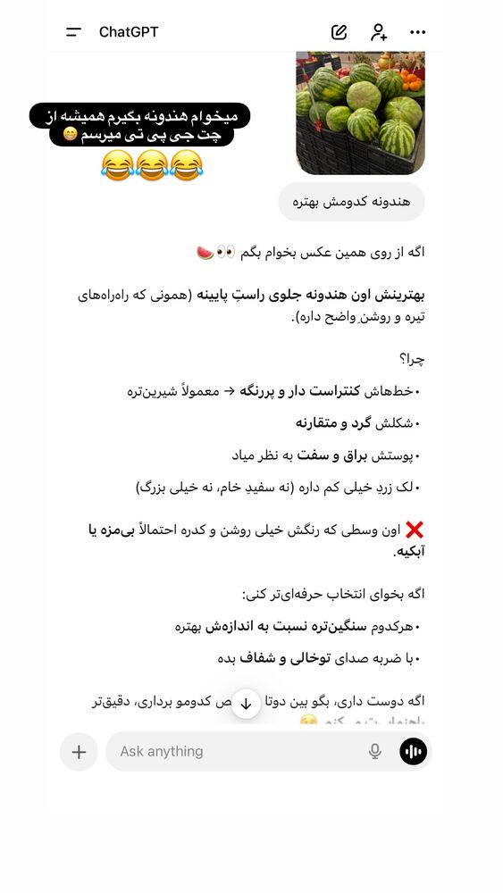  جدید ترین استوری اینستاگرام فاطمه ارجمندی