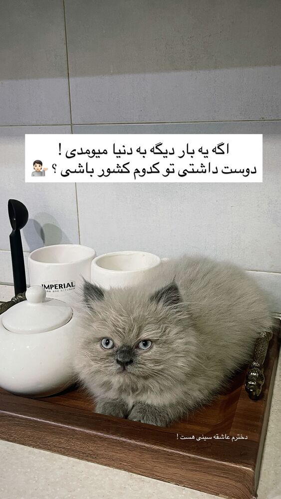  جدید ترین استوری اینستاگرام علی ایوبی