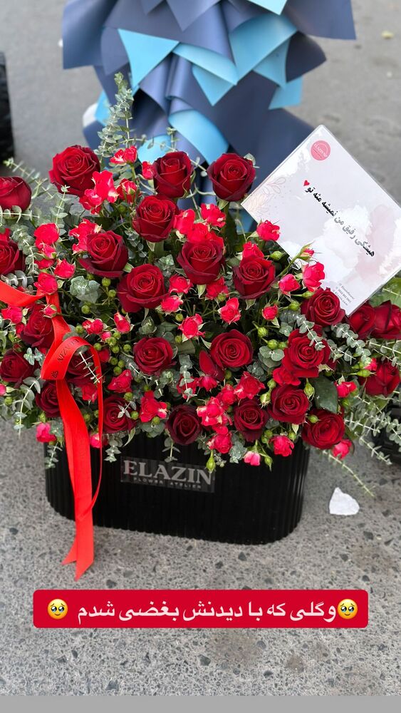  جدید ترین استوری اینستاگرام مژده حاتمی