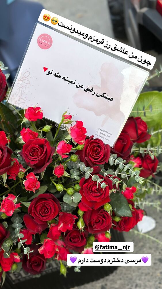  جدید ترین استوری اینستاگرام مژده حاتمی