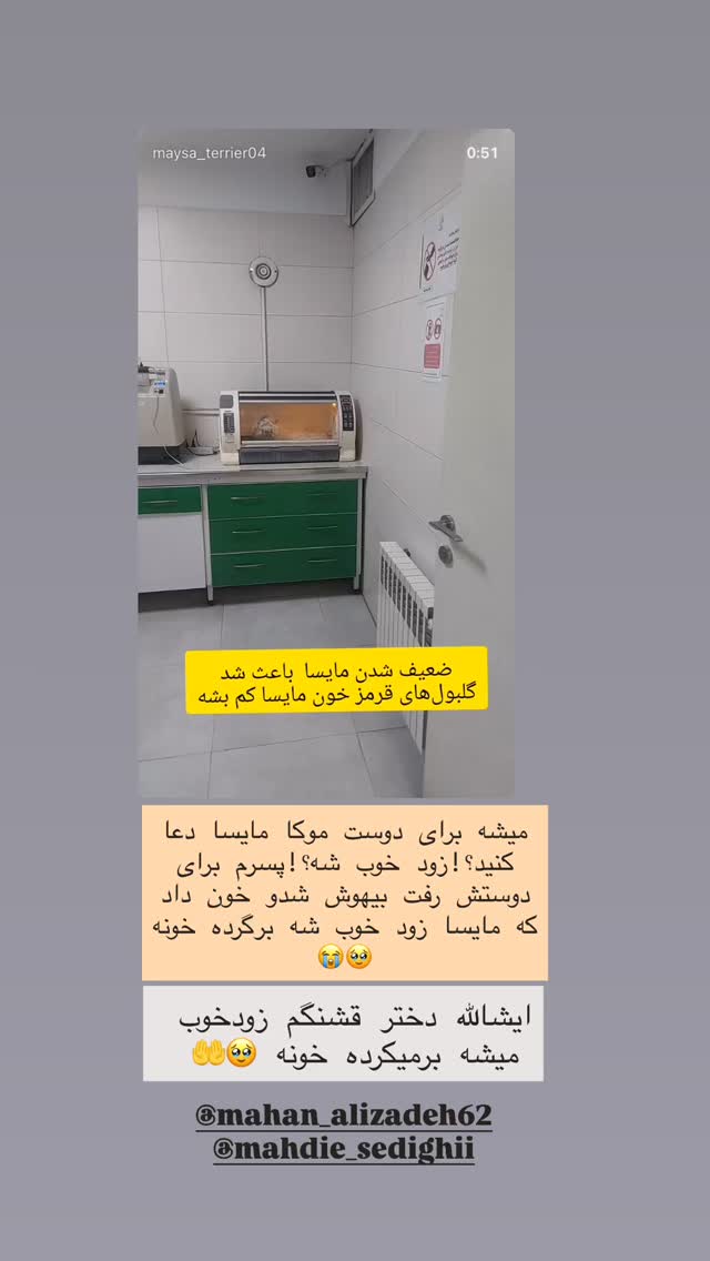  جدید ترین استوری اینستاگرام مژده حاتمی