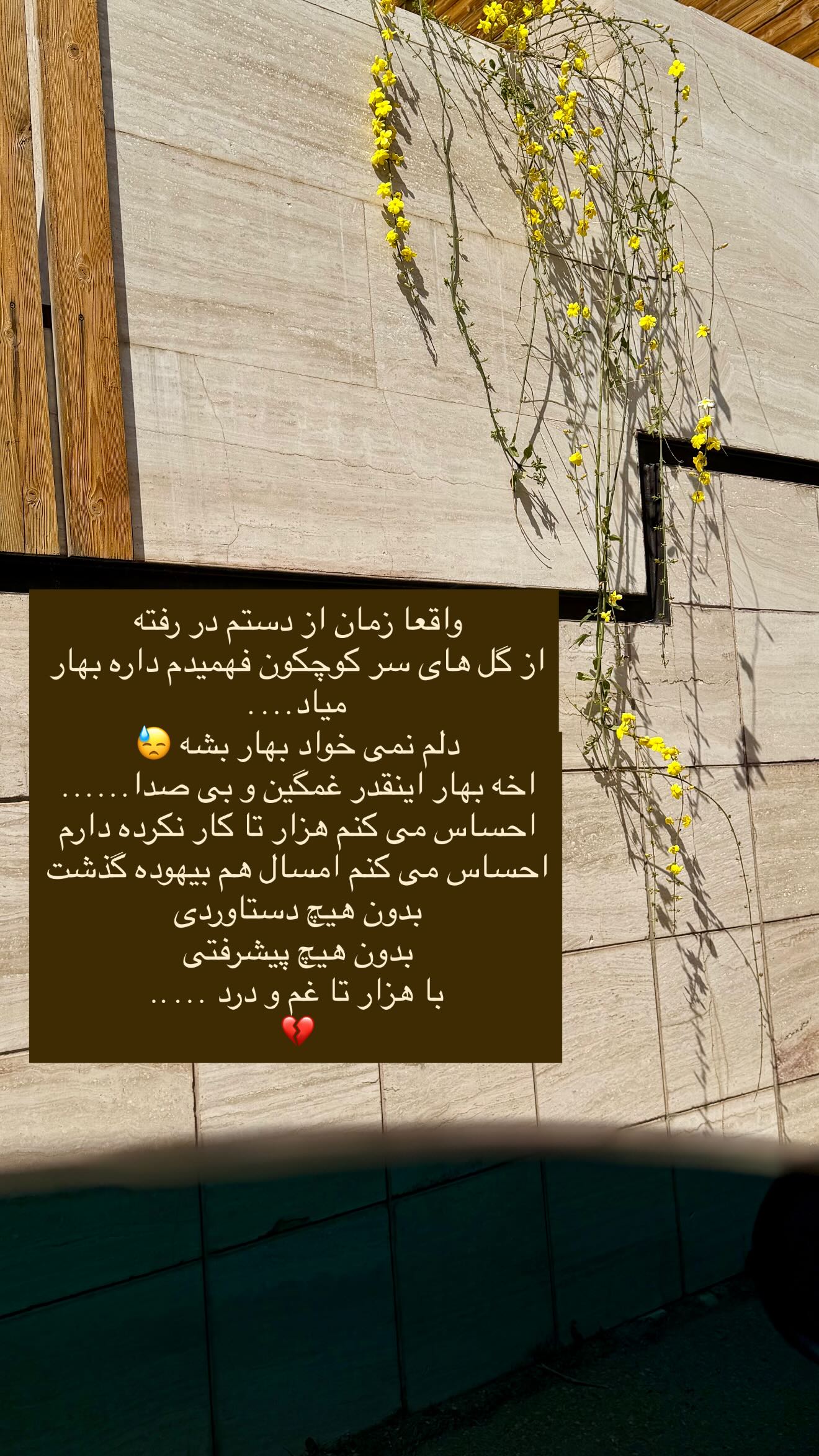  جدید ترین استوری اینستاگرام جانان