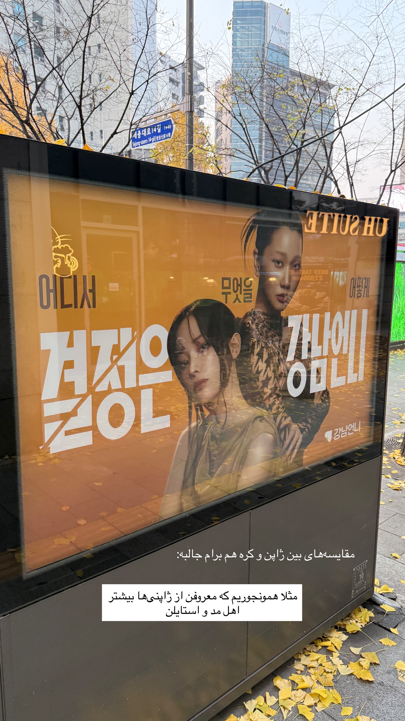  جدید ترین استوری اینستاگرام حامد محمدی