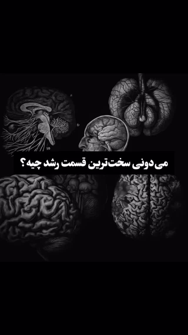  جدید ترین استوری اینستاگرام بردیا بهادر