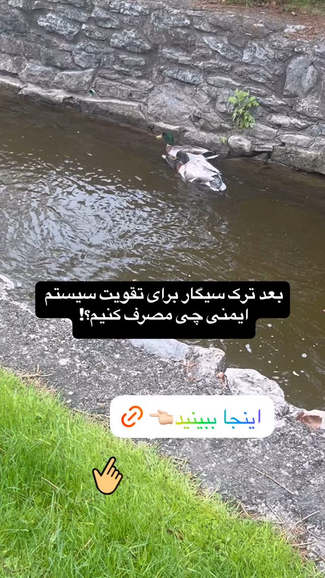  جدید ترین استوری اینستاگرام کیوان میرهادی