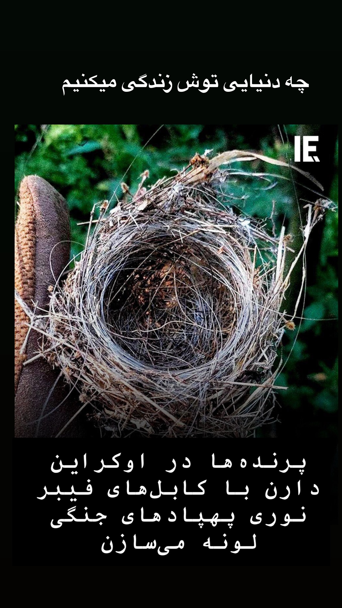  جدید ترین استوری اینستاگرام کیوان میرهادی