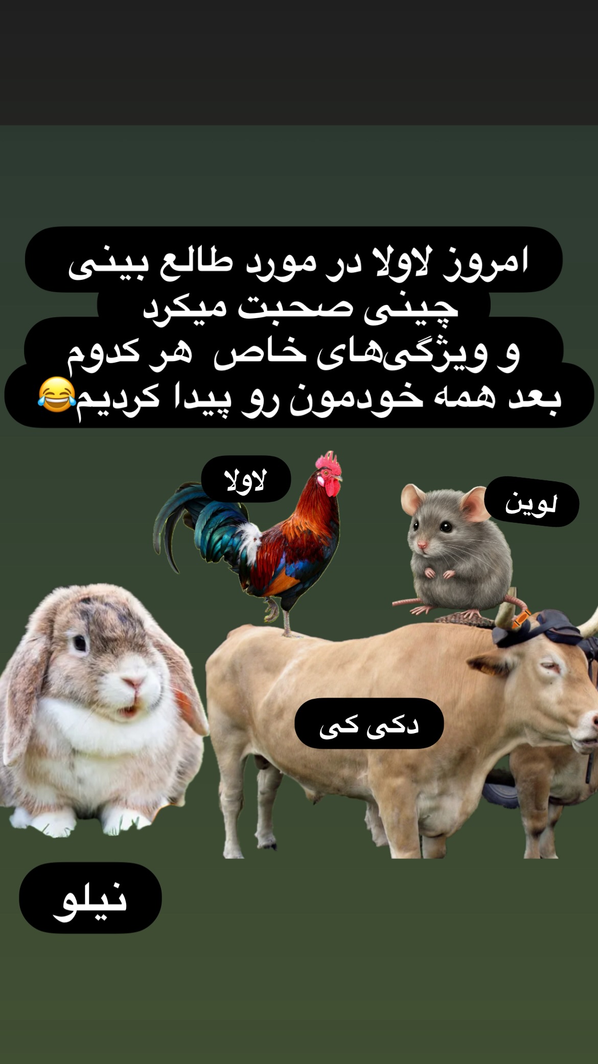  جدید ترین استوری اینستاگرام کیوان میرهادی