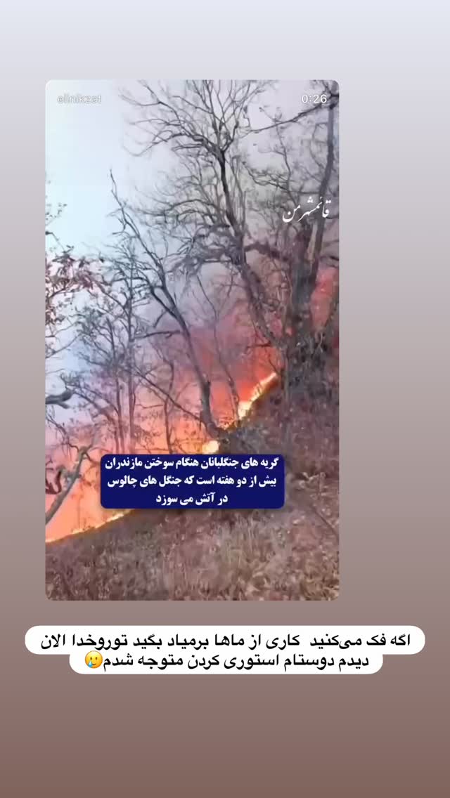  جدید ترین استوری اینستاگرام مائده عابدی