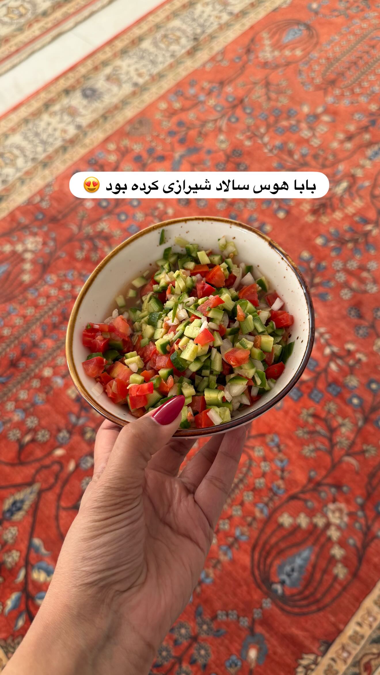  جدید ترین استوری اینستاگرام مائده عابدی