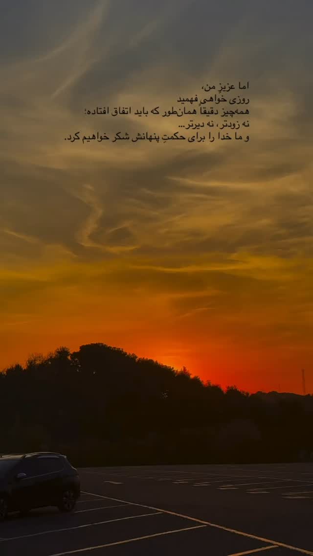  جدید ترین استوری اینستاگرام مائده عابدی