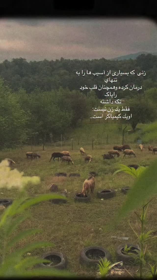  جدید ترین استوری اینستاگرام مائده عابدی