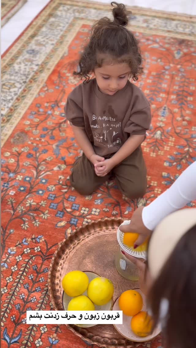 جدید ترین استوری اینستاگرام مائده عابدی
