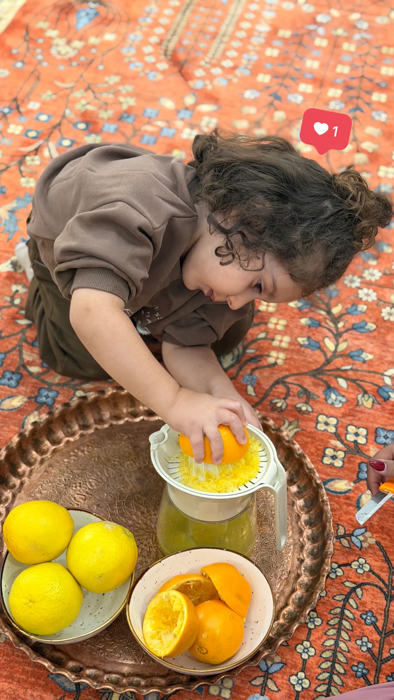  جدید ترین استوری اینستاگرام مائده عابدی