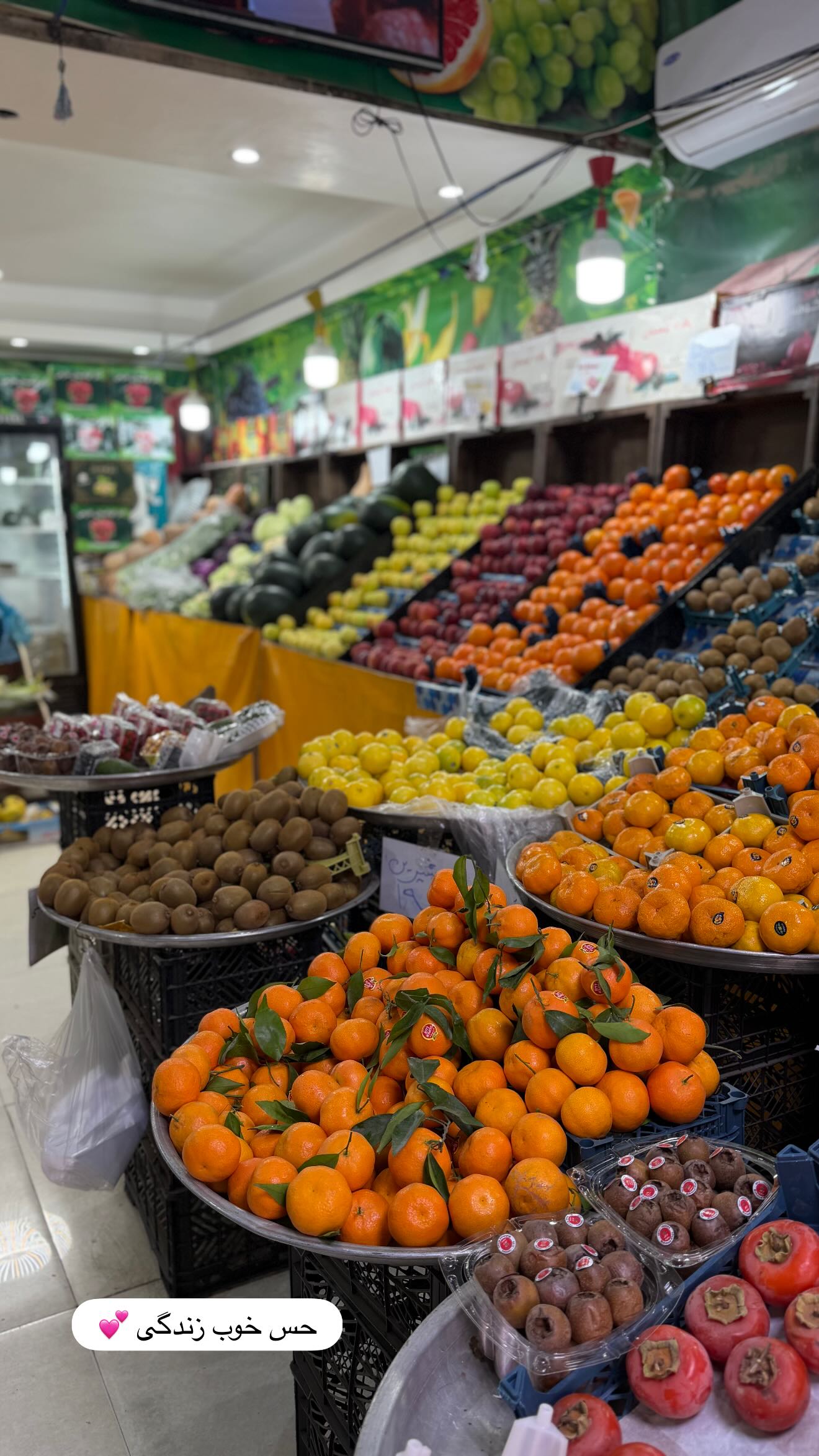  جدید ترین استوری اینستاگرام مائده عابدی