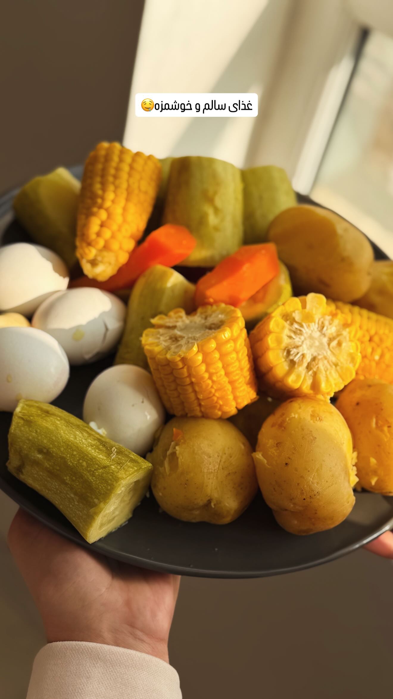  جدید ترین استوری اینستاگرام مائده عابدی
