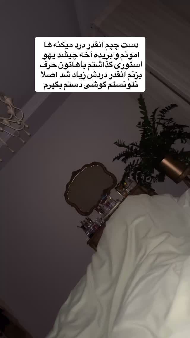  جدید ترین استوری اینستاگرام مائده عابدی