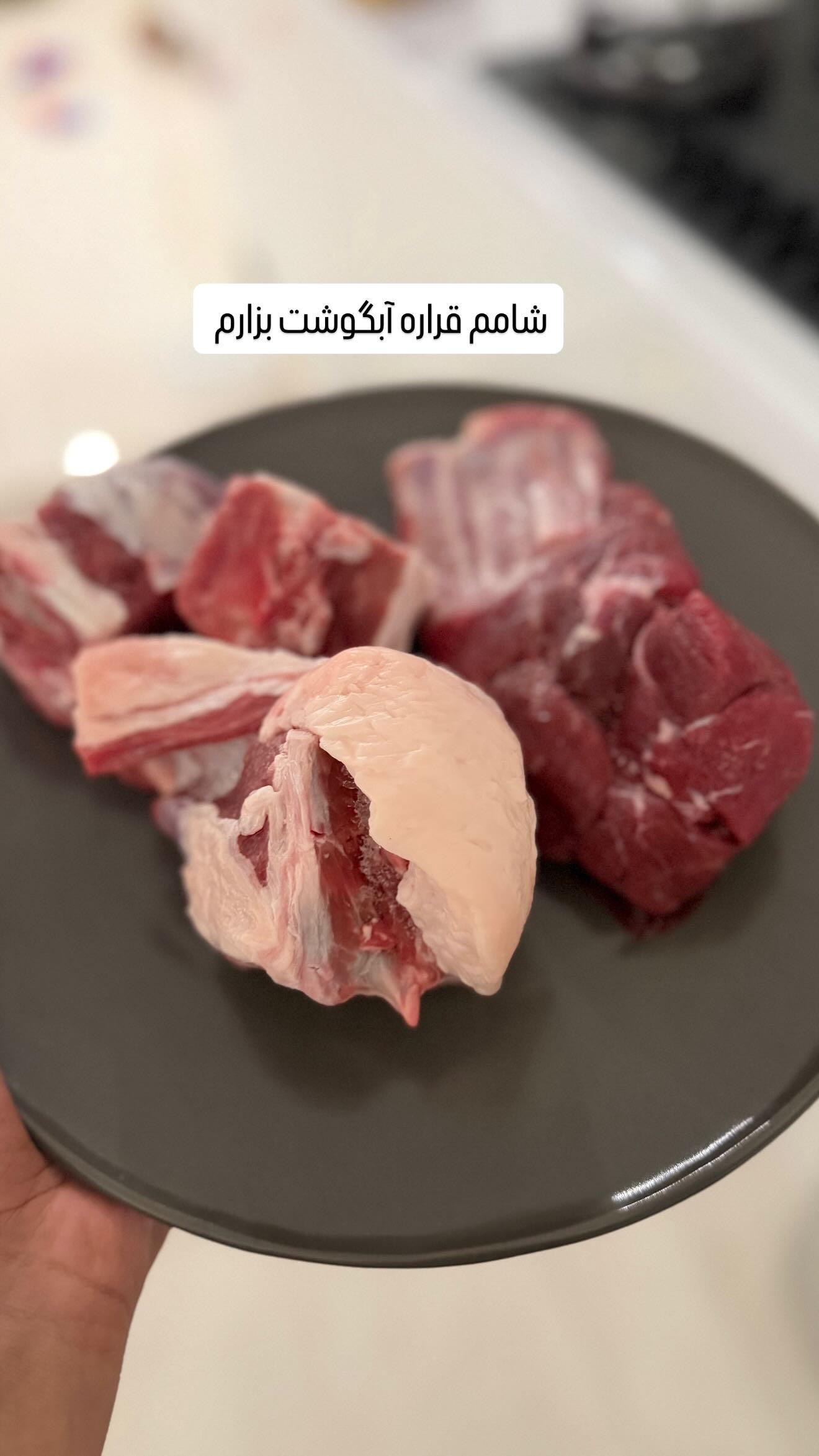  جدید ترین استوری اینستاگرام مائده عابدی
