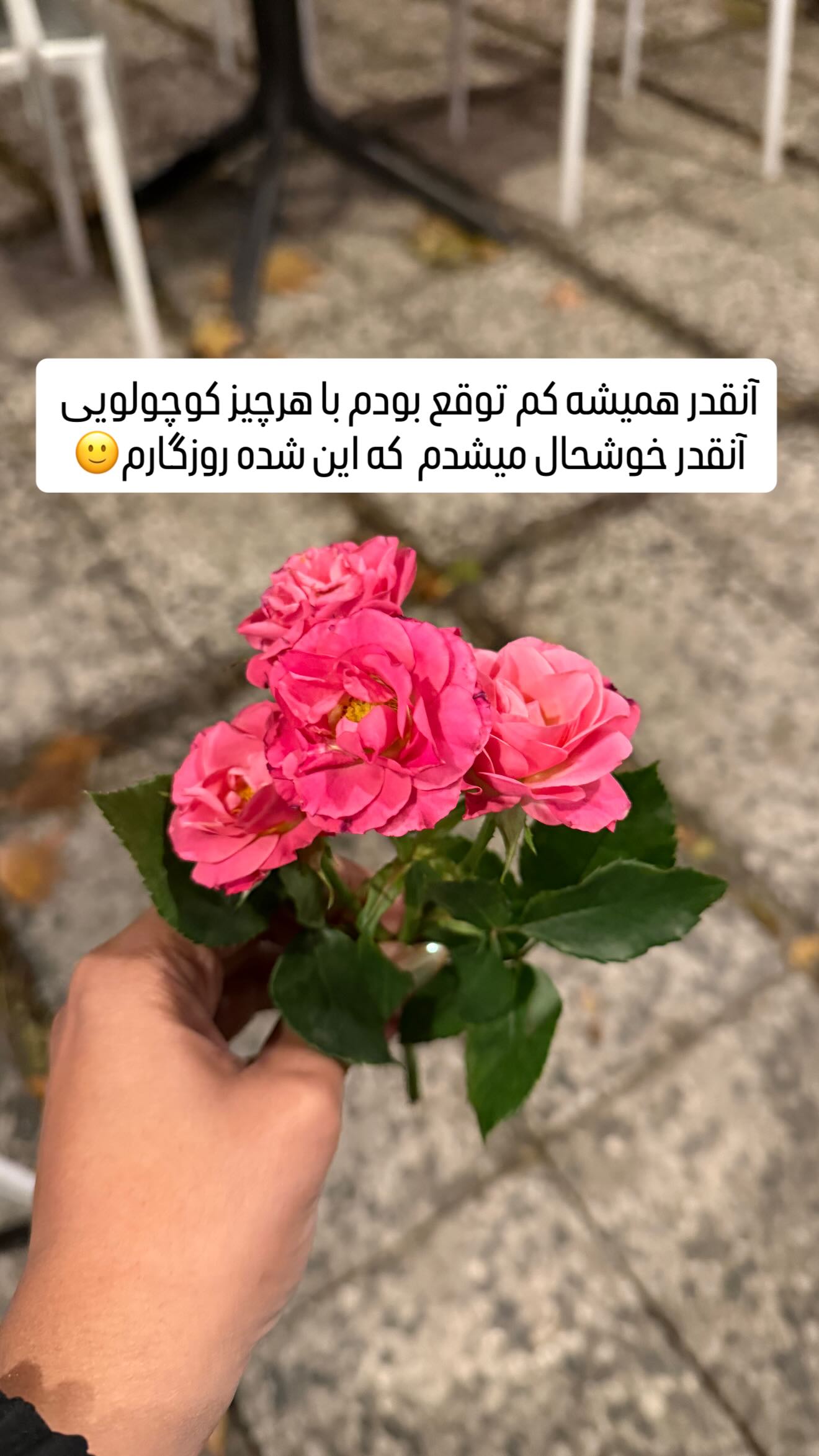  جدید ترین استوری اینستاگرام مائده عابدی
