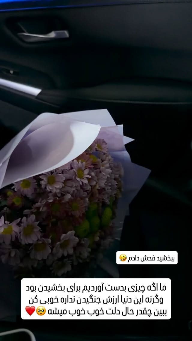  جدید ترین استوری اینستاگرام مائده عابدی