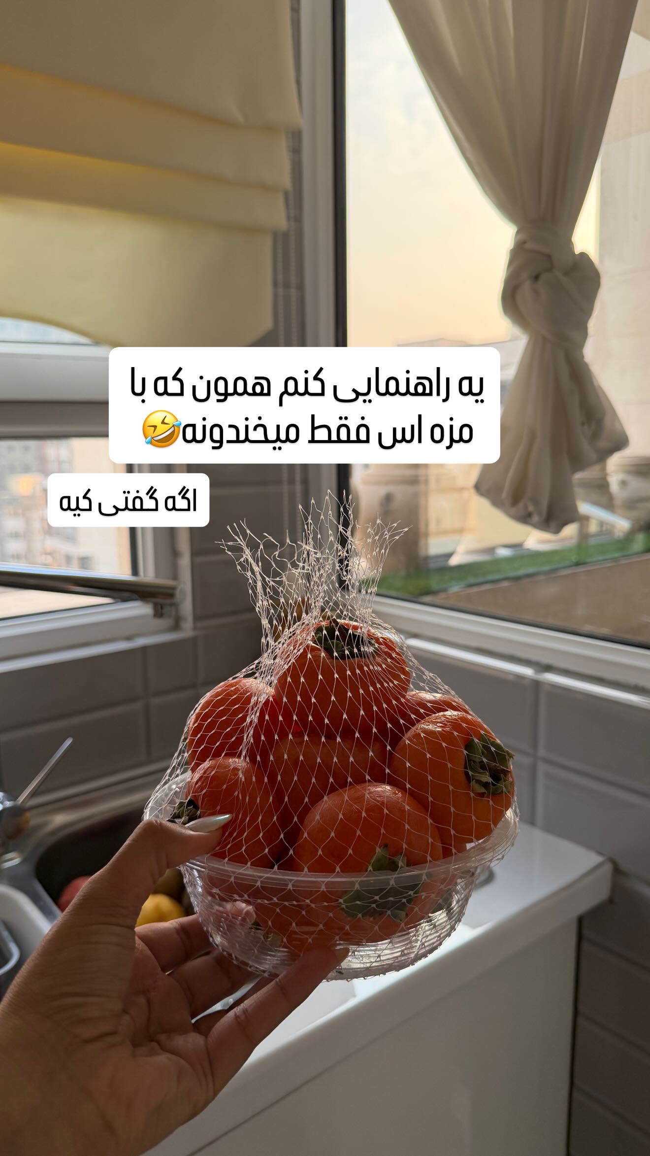  جدید ترین استوری اینستاگرام مائده عابدی