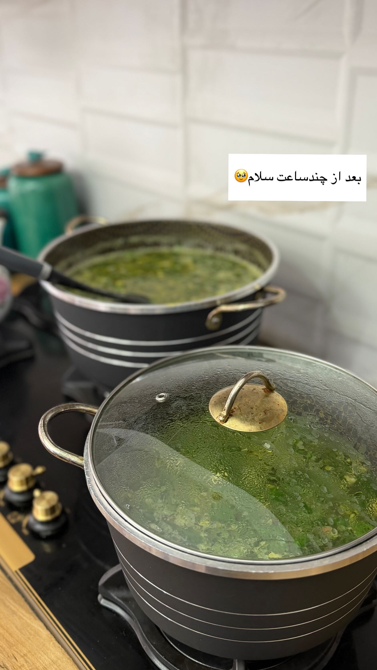  جدید ترین استوری اینستاگرام مائده عابدی