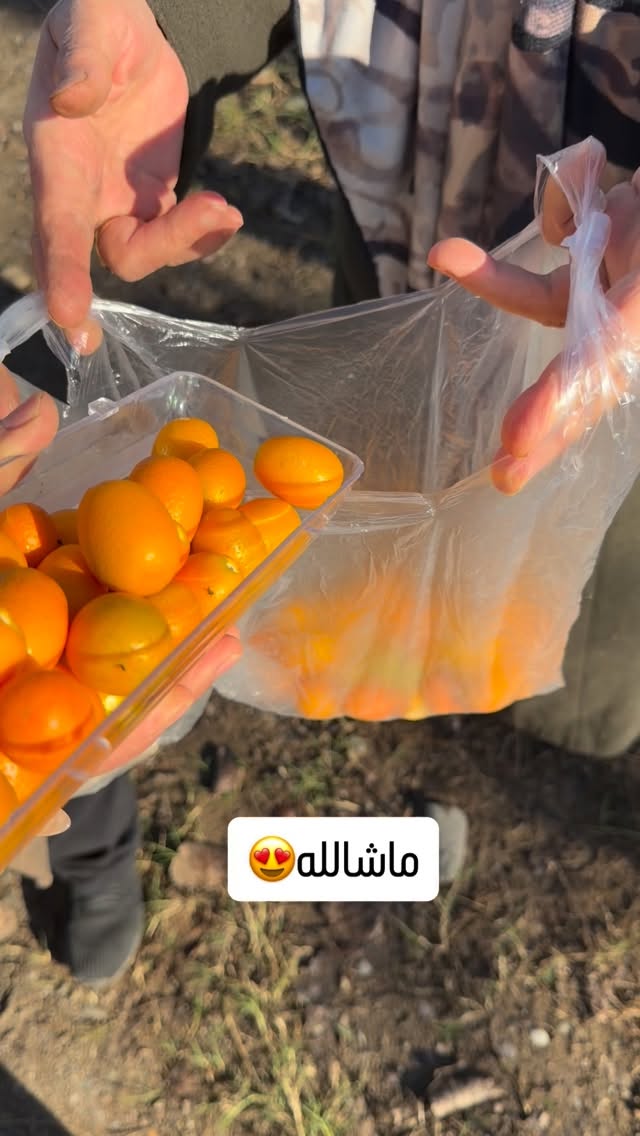  جدید ترین استوری اینستاگرام مائده عابدی