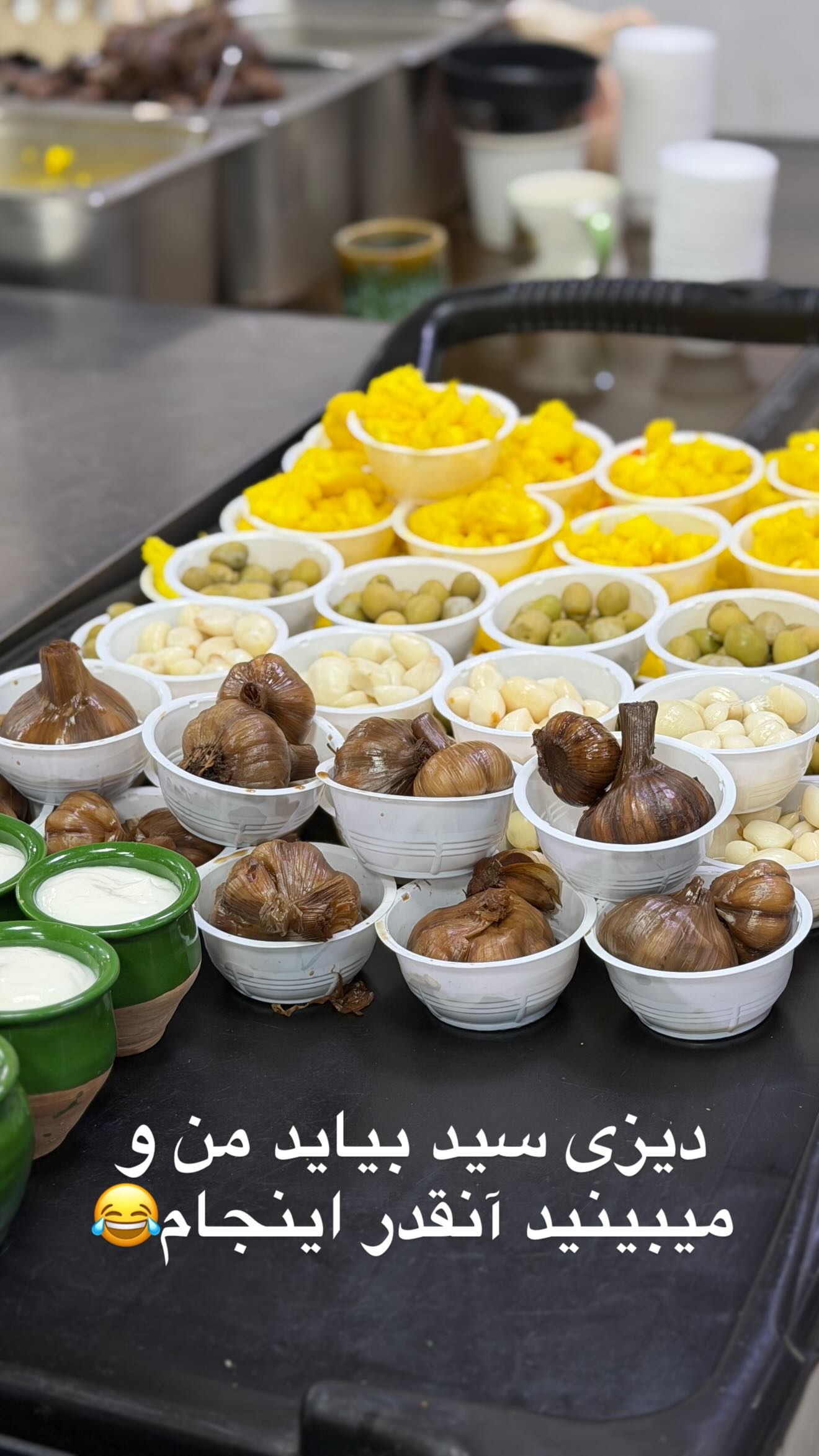  جدید ترین استوری اینستاگرام مائده عابدی