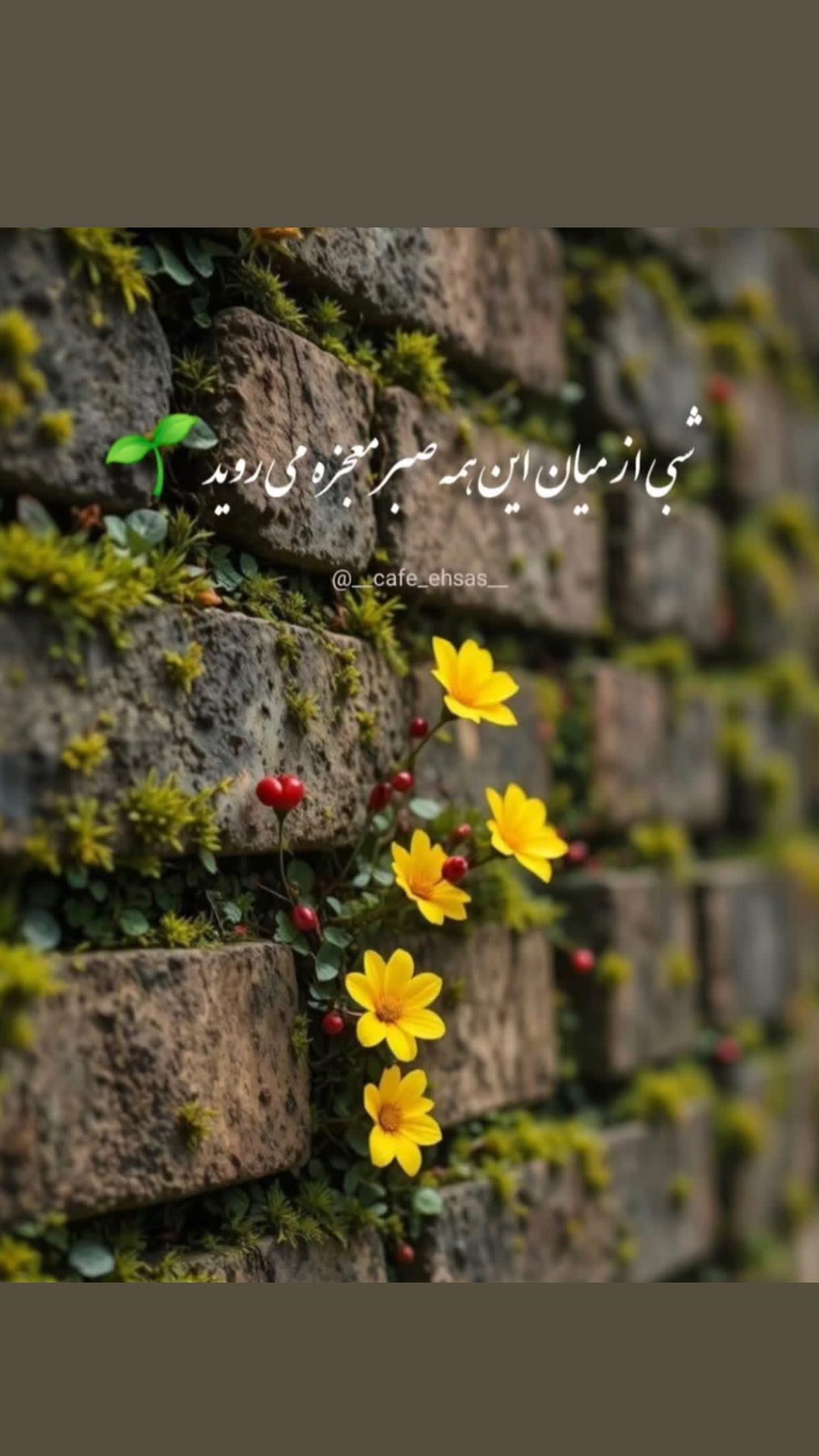  جدید ترین استوری اینستاگرام مائده عابدی