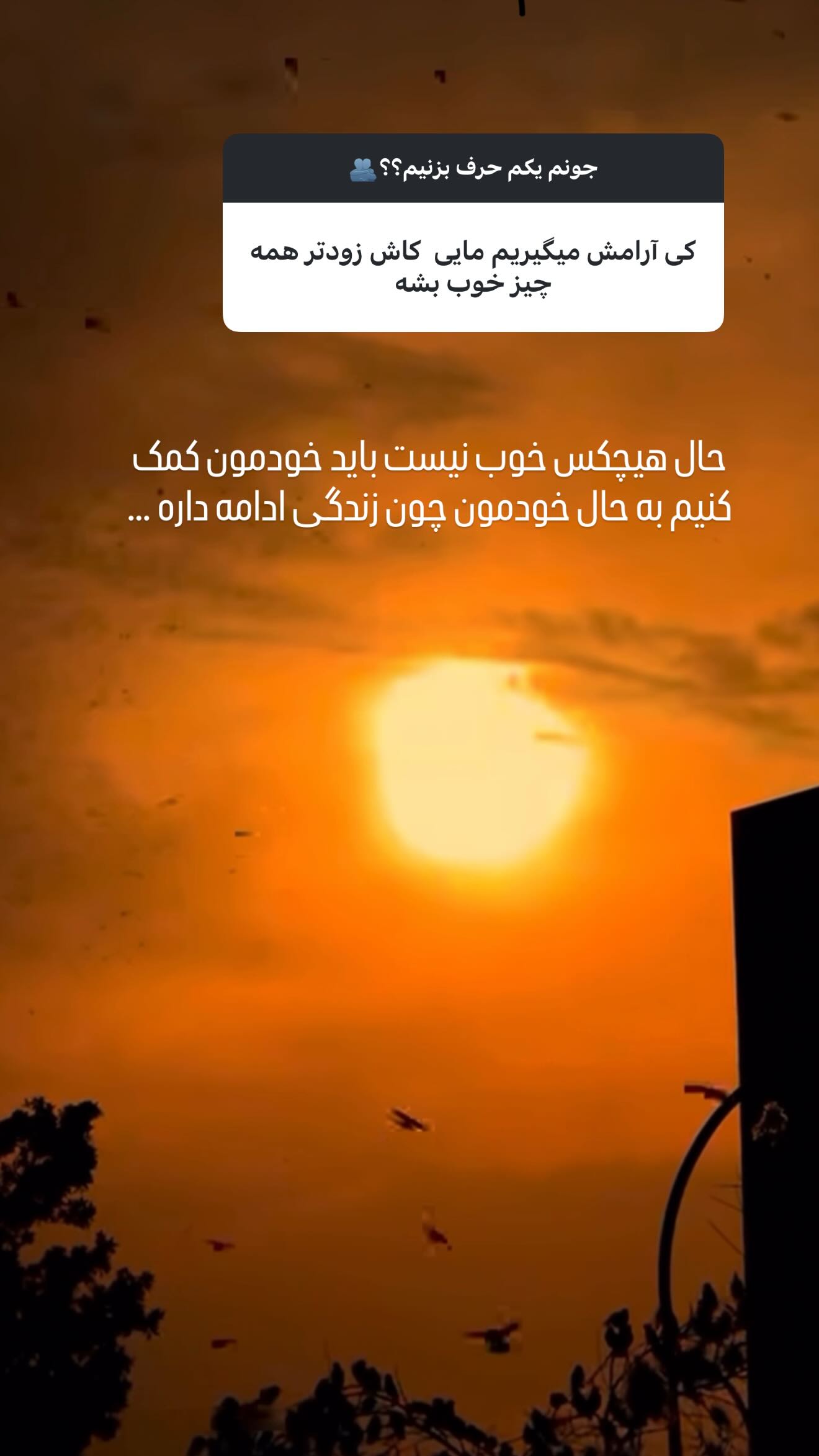  جدید ترین استوری اینستاگرام مائده عابدی