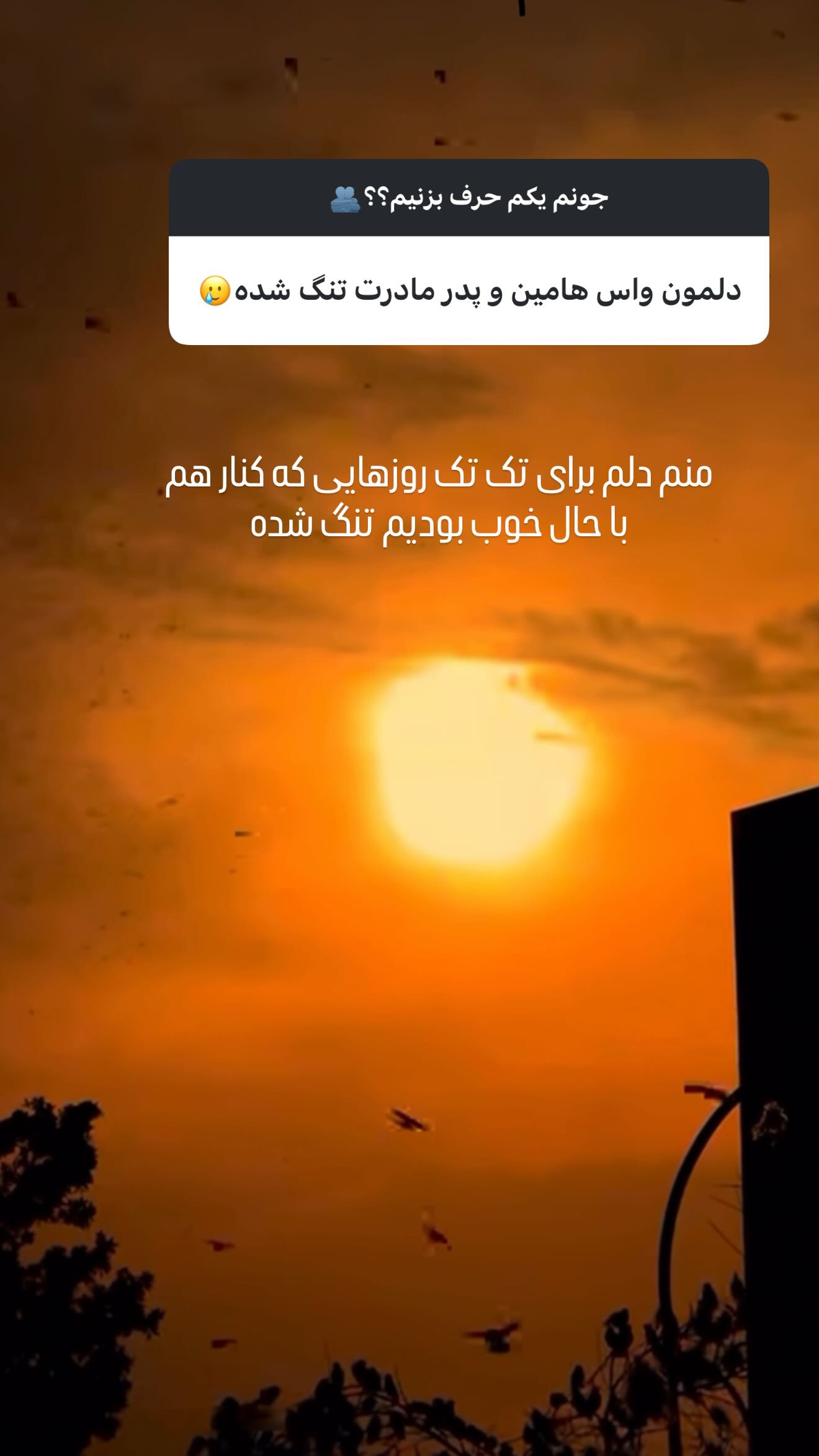  جدید ترین استوری اینستاگرام مائده عابدی