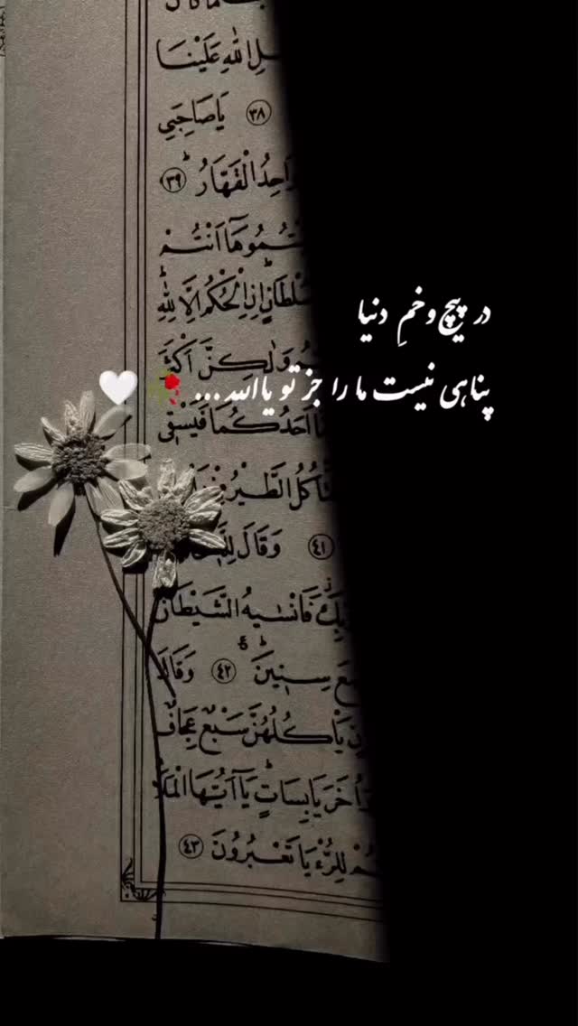  جدید ترین استوری اینستاگرام مائده عابدی