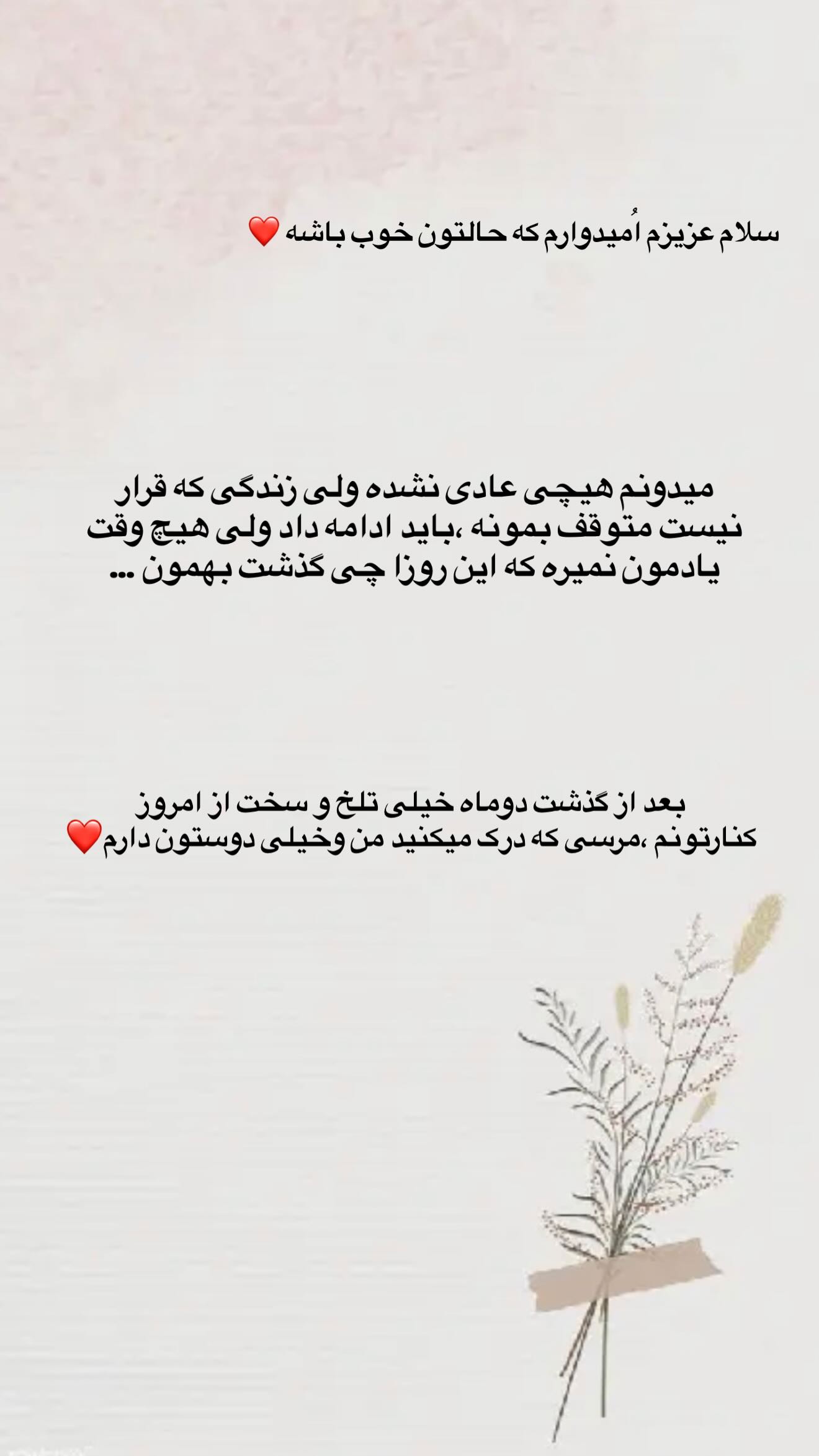  جدید ترین استوری اینستاگرام مائده عابدی