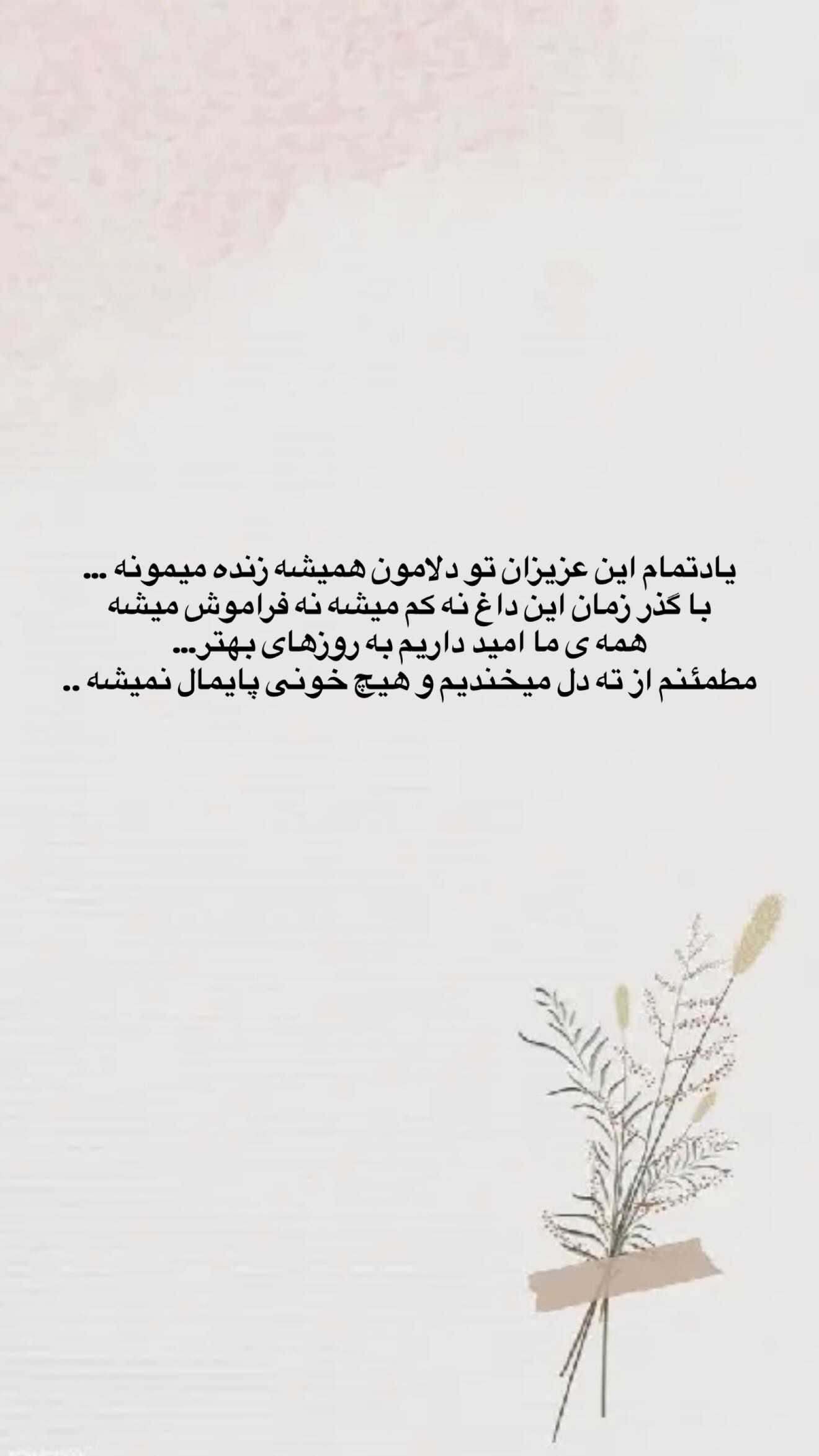  جدید ترین استوری اینستاگرام مائده عابدی