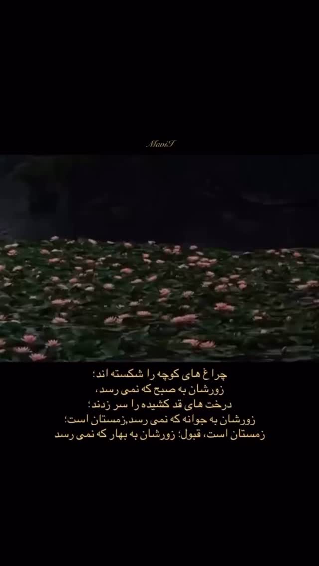  جدید ترین استوری اینستاگرام مائده عابدی