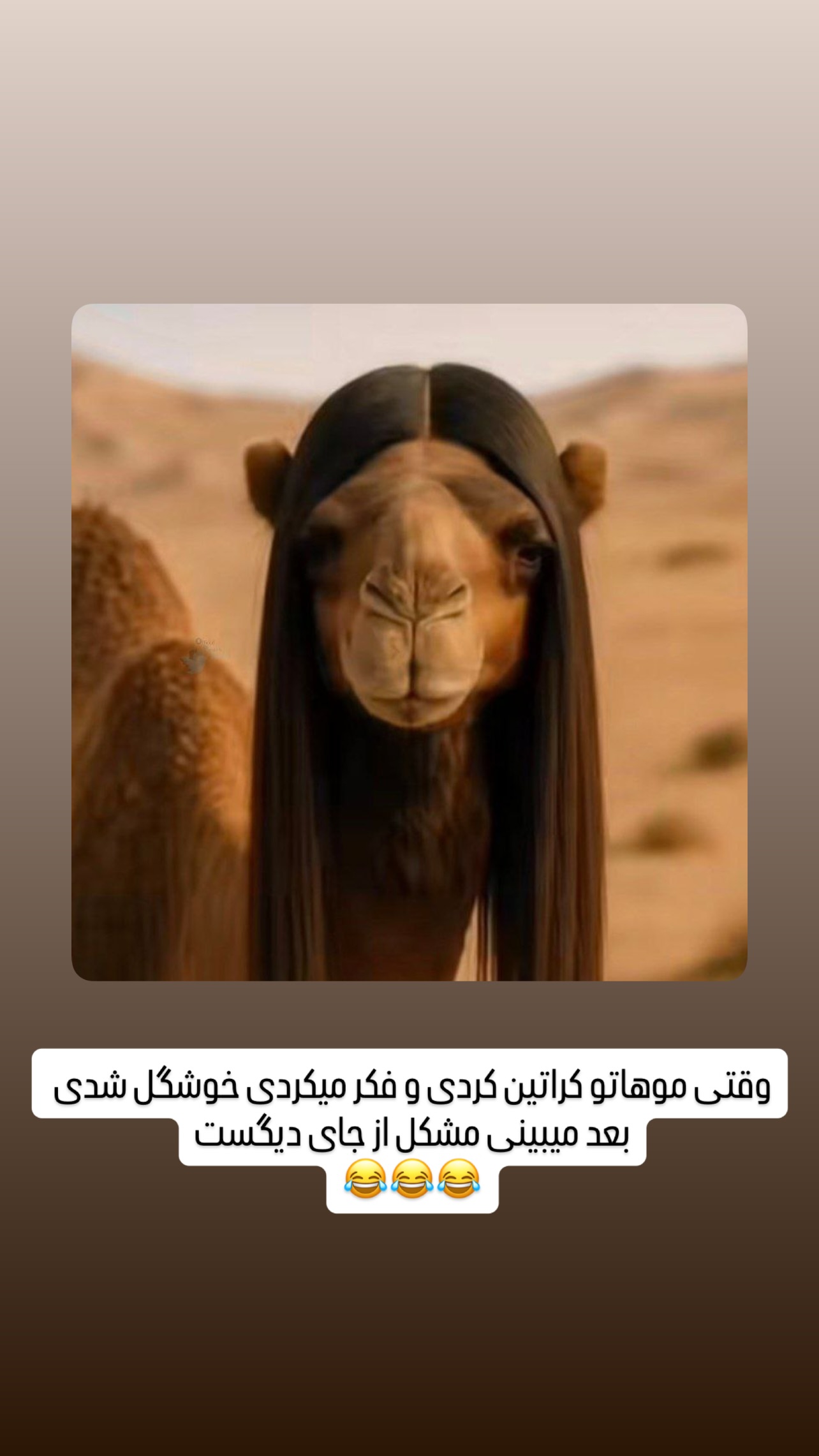  جدید ترین استوری اینستاگرام مهدی محمودی