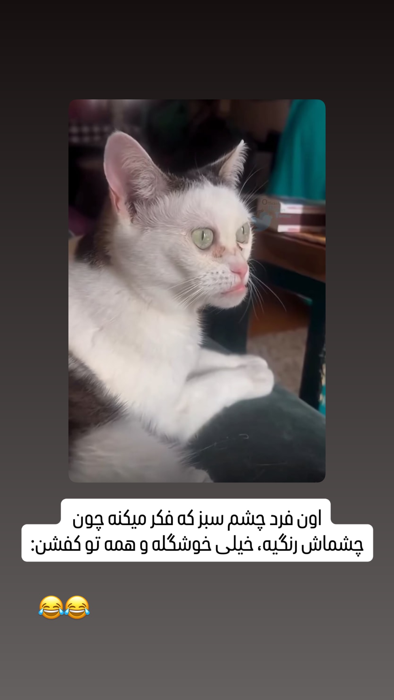  جدید ترین استوری اینستاگرام مهدی محمودی