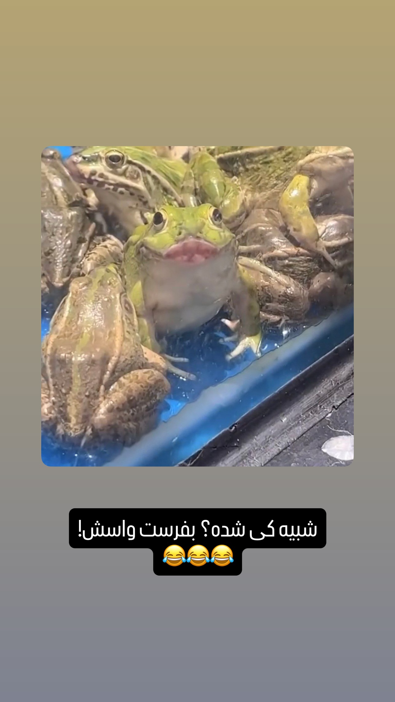  جدید ترین استوری اینستاگرام مهدی محمودی
