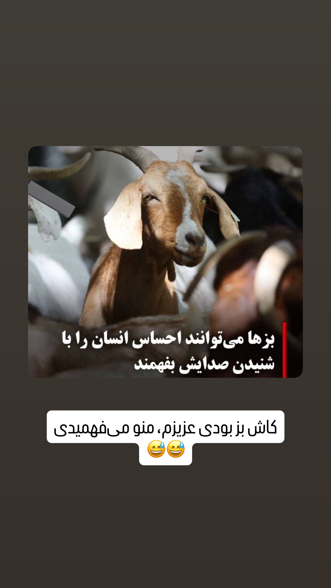  جدید ترین استوری اینستاگرام مهدی محمودی