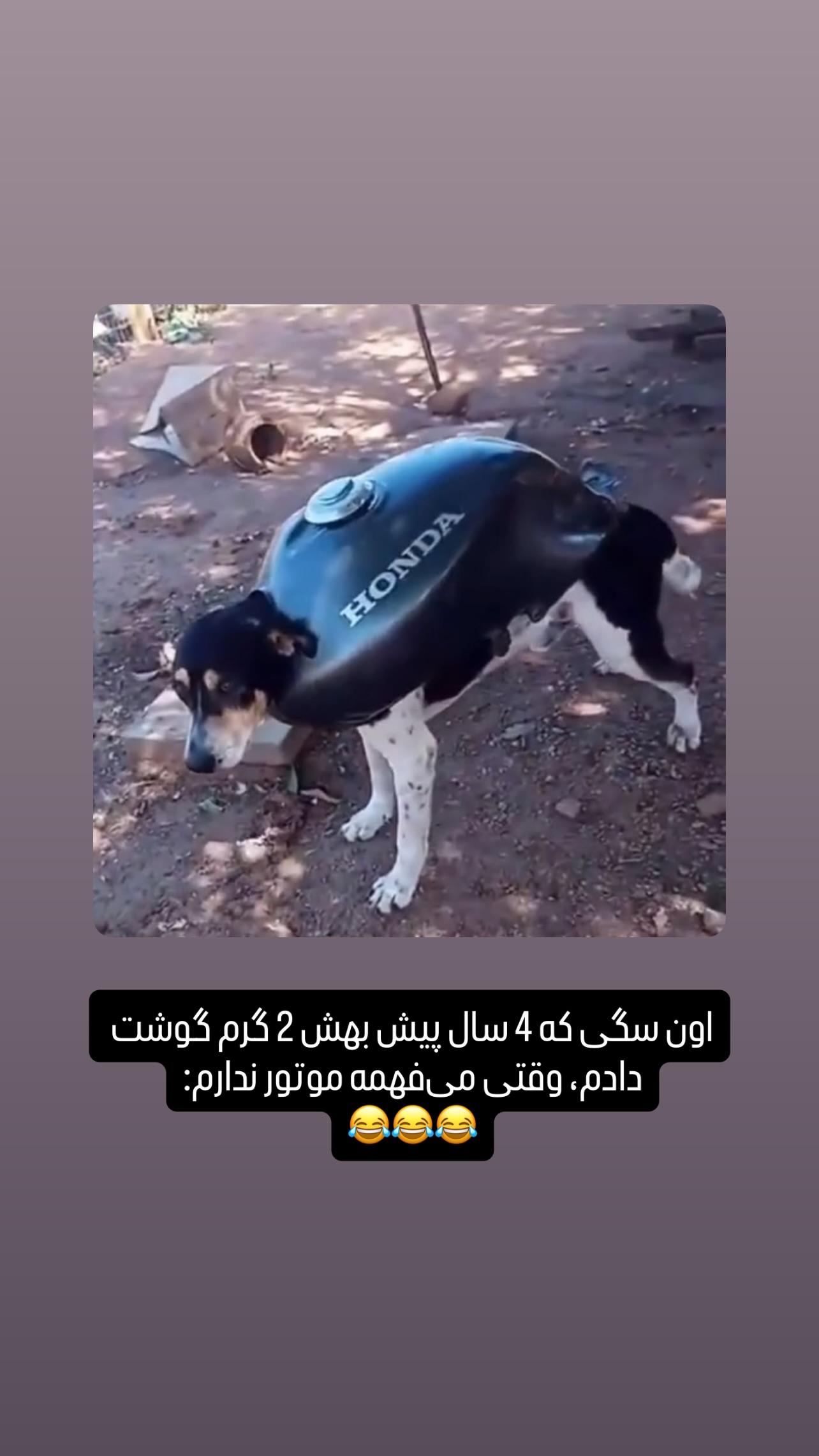  جدید ترین استوری اینستاگرام مهدی محمودی