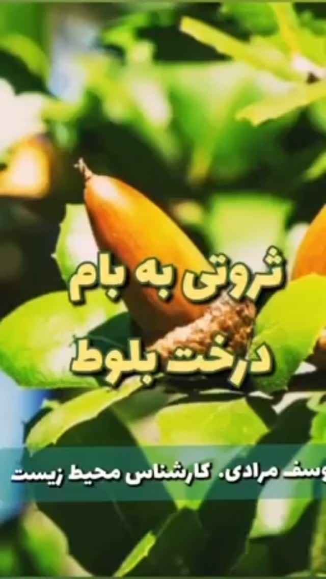  جدید ترین استوری اینستاگرام رضا بابک