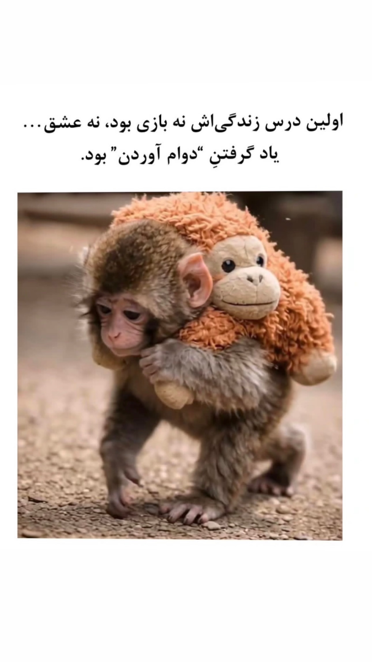  جدید ترین استوری اینستاگرام شبنم