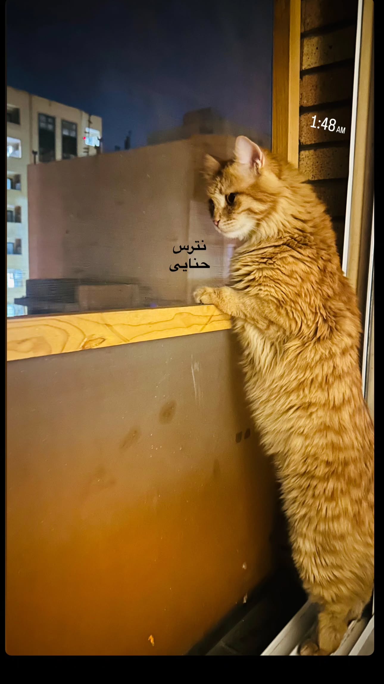  جدید ترین استوری اینستاگرام زری