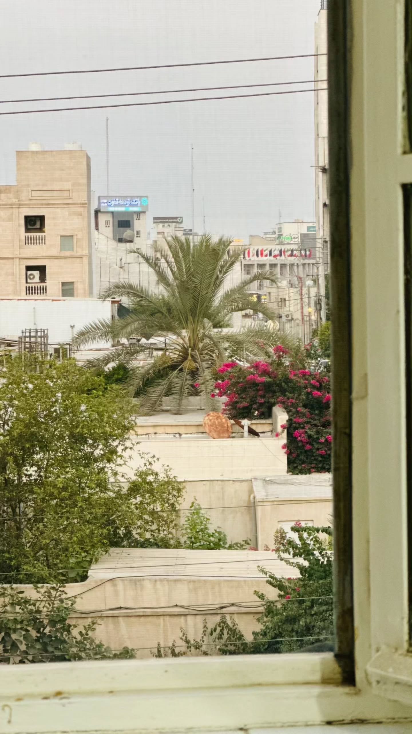  جدید ترین استوری اینستاگرام زری