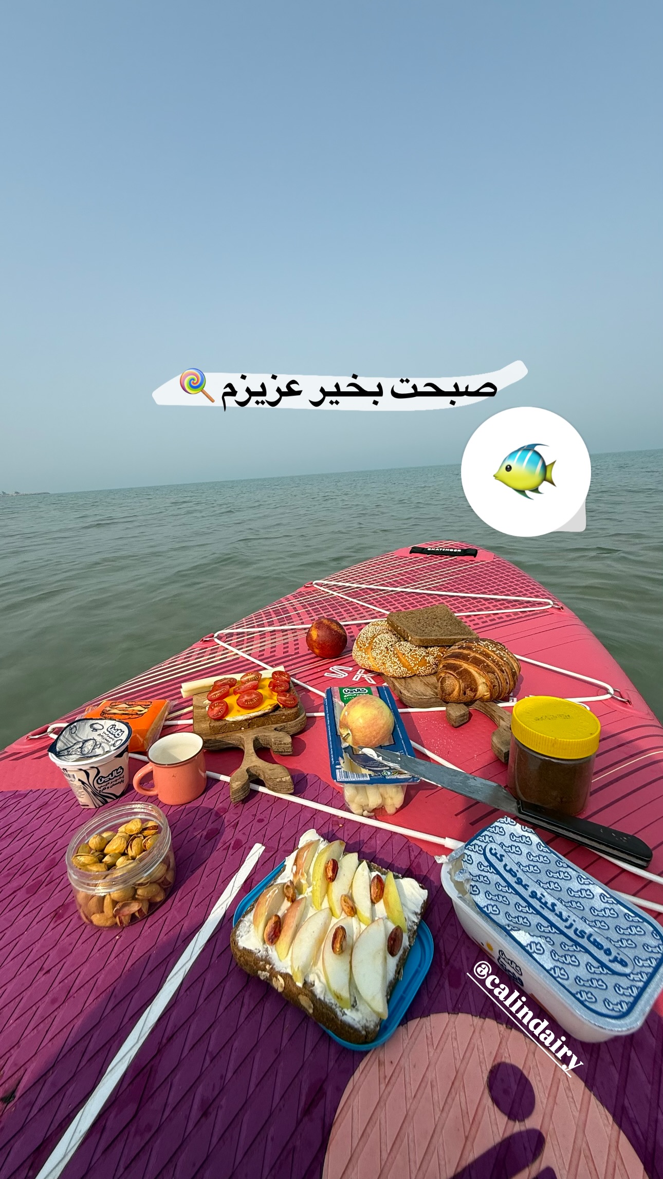  جدید ترین استوری اینستاگرام زری