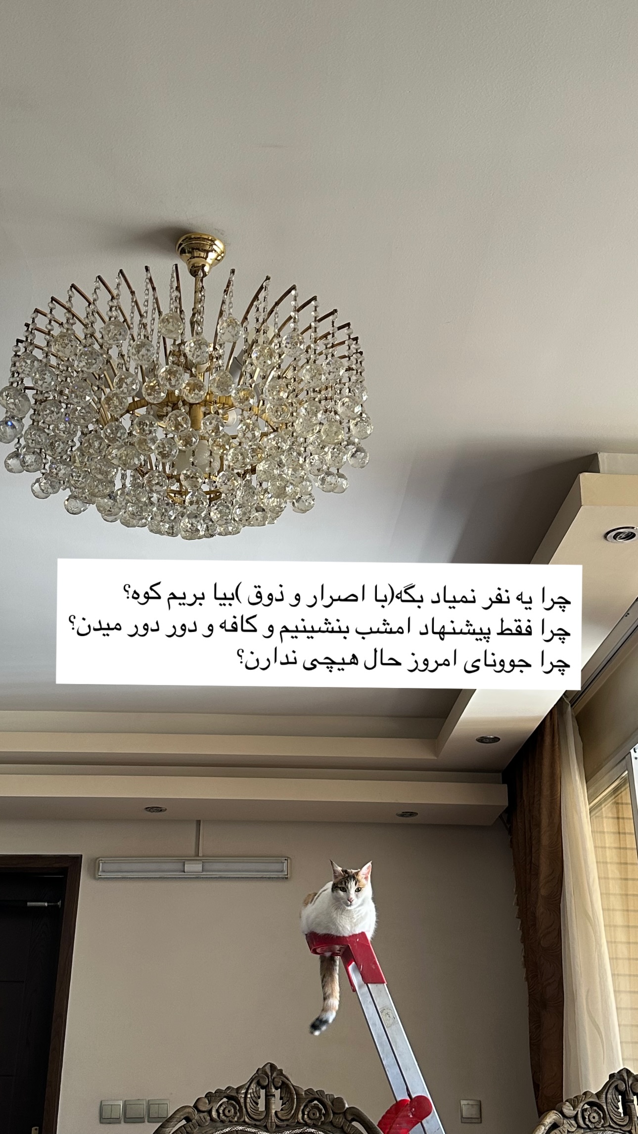  جدید ترین استوری اینستاگرام زری