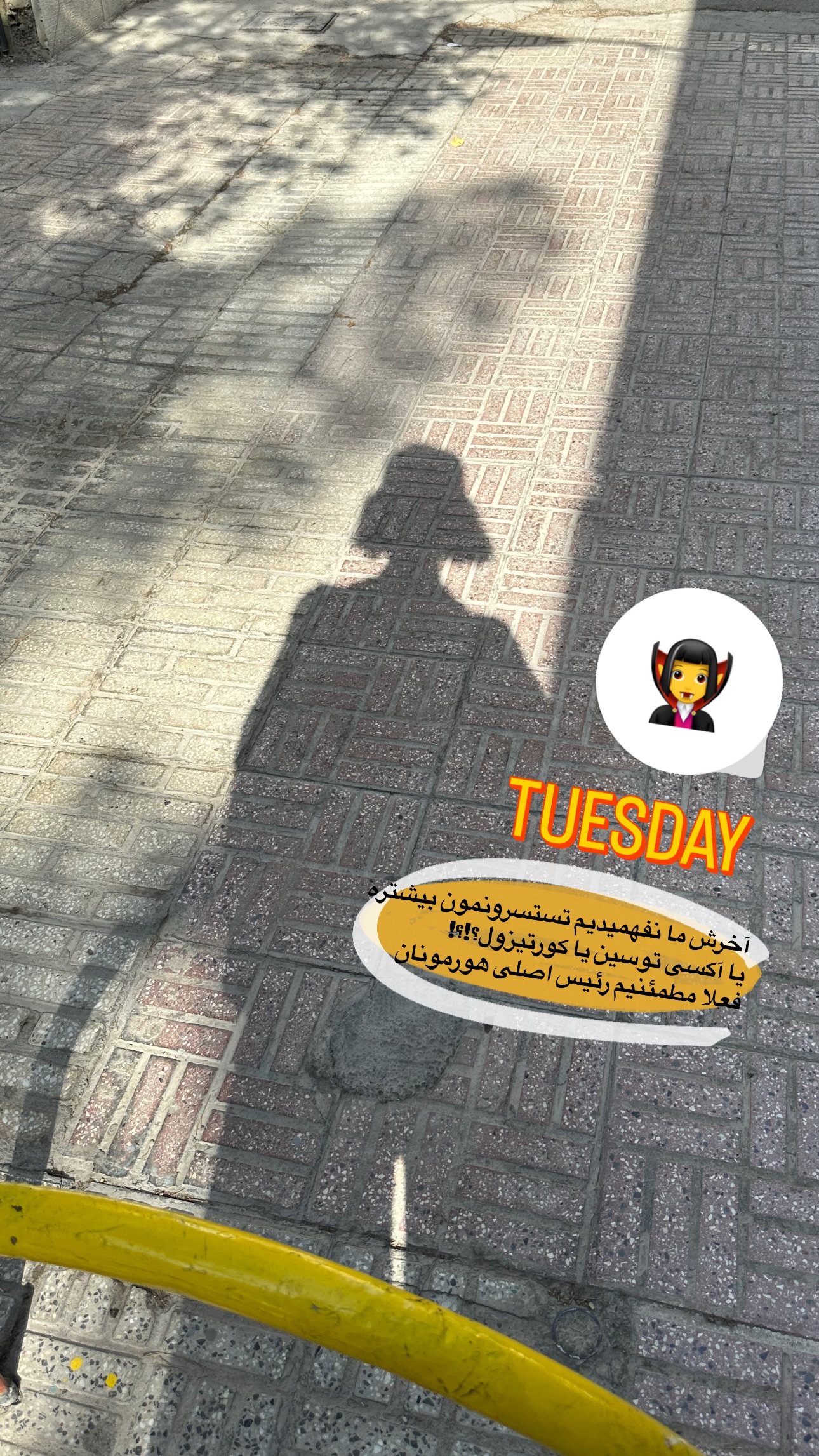  جدید ترین استوری اینستاگرام زری