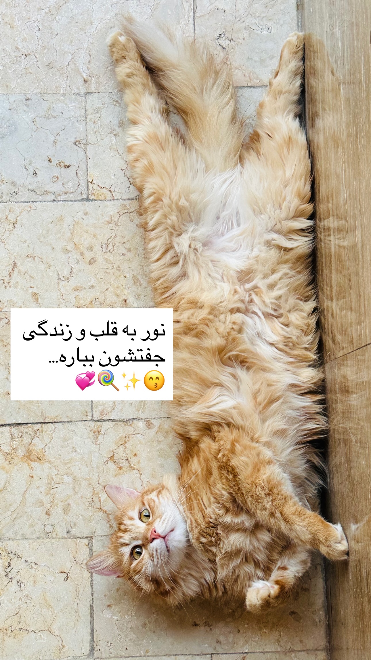  جدید ترین استوری اینستاگرام زری